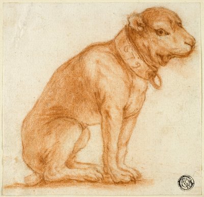 首輪をした座った犬 作： Dirk Valkenburg