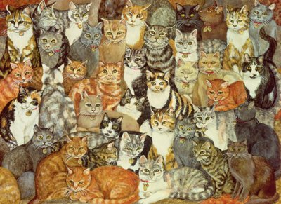 猫の広がり 作： Ditz