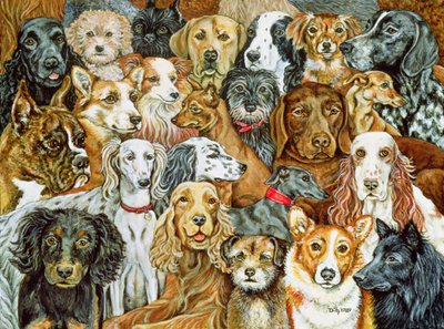 犬の広がり、1989 作： Ditz