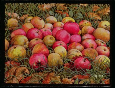Durnitzhofer Apples、1993 作： Ditz