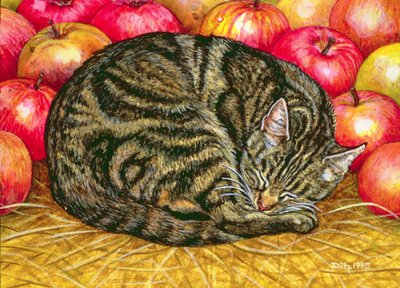 左手Apple-Cat、1995（パネルにアクリル） 作： Ditz
