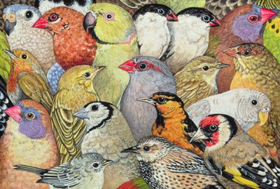 Patchwork-Birds、1995（パネルにアクリル） 作： Ditz