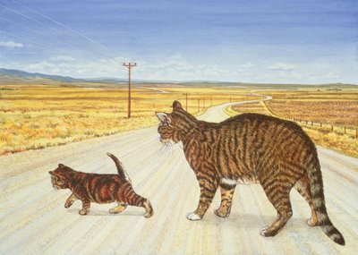 サラトガ・クロッシング、1995 作： Ditz