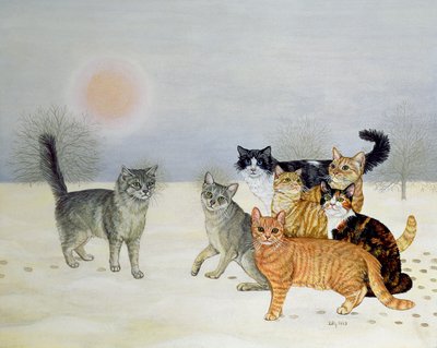 冬猫 作： Ditz
