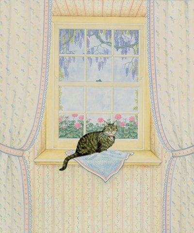 藤猫 作： Ditz