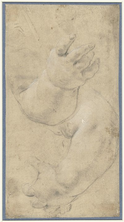 2 人の子供の腕の研究 作： Domenichino