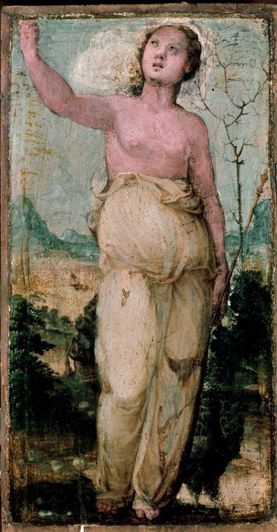 女性像。ドメニコ・ベッカフミ（1486-1551）の絵画。シエナ、コンセルバトリオ 作： Domenico Beccafumi