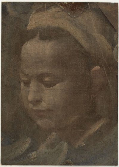 若い女性の頭部 作： Domenico Beccafumi