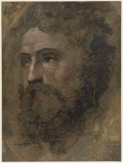 左に巻き毛の男の頭 作： Domenico Beccafumi