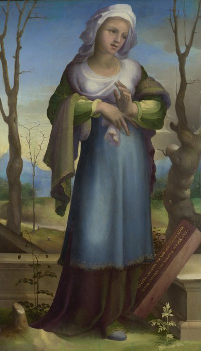 マルシア、1519年頃 作： Domenico Beccafumi