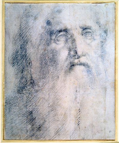 「あごひげのある老人の頭の研究」、c1535 作： Domenico Beccafumi