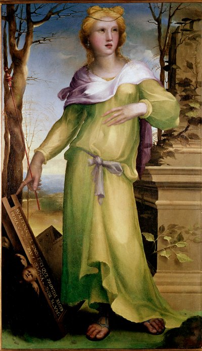ローマ王タルクイン長老の妻、タナキル。夫の死後、義理の息子であるセルヴィウス・トゥリウスの後継者となった。ドメニコ・ベッカフミ（1486-1551）による絵画、1519年頃。飲み物。薄さ：92x53cm。ロンドン、ナショナル・ギャラリー - タナキ 作： Domenico Beccafumi