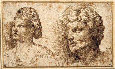 バルサをつけた若い女性の頭と肩、ひげをつけた男性の頭の習作（紙にペンとインク 作： Domenico Campagnola