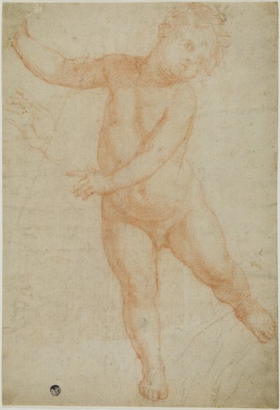右足で構えるプット（レクト）、垂らした腕のスケッチ（裏面） 作： Domenico Cresti