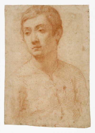若者の頭、1600〜25年頃（紙に赤いチョーク） 作： Domenico Cresti