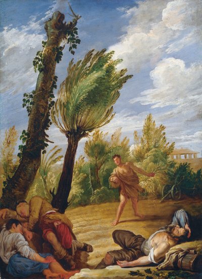 麦と毒麦のたとえ話、1620年代。 作： Domenico Fetti
