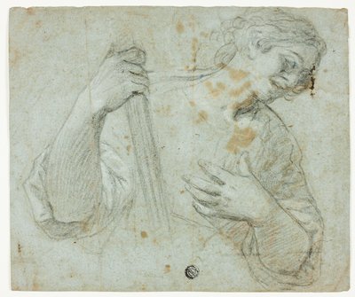 立っている青年の横顔を右に向け、杖を持っている 作： Domenico Fiasella