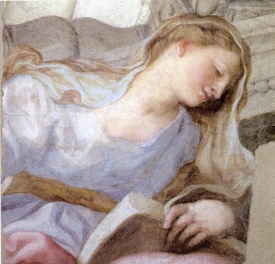 美徳の擬人化（フレスコ画） 作： Domenico I Piola