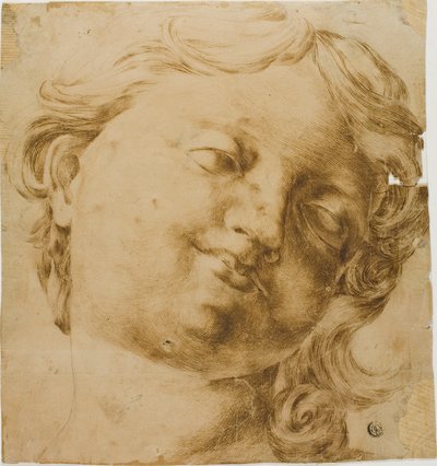子供の頭 作： Domenico Peruzzini