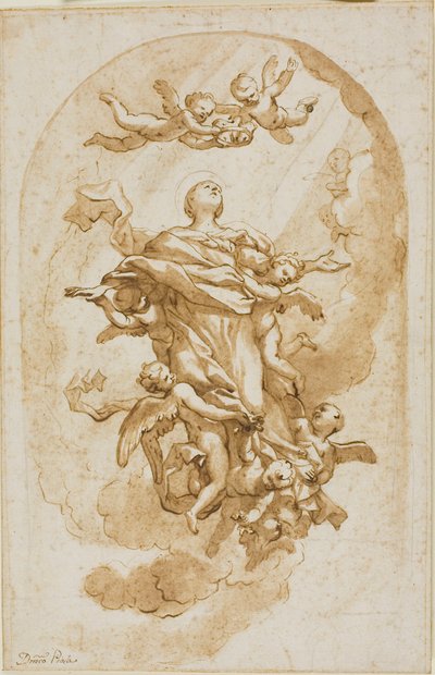 聖母被昇天 作： Domenico Piola