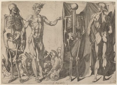 スケルトンとフレイド、c。 1540-1545。 作： Domenico del Barbiere