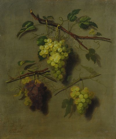 静物、1738 作： Dominicus Van der Smissen