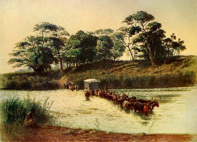 「ウンベロア川の漂流を渡る牛馬車-スワジランド」、1902 年。 作： Donald McCracken