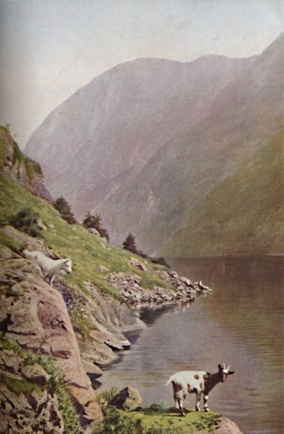 ノルウェー、c1930s 作： Donald McLeish