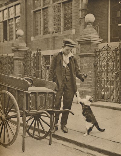 最も確立された取引の1つ：顧客と猫と肉の男、c1935。 作： Donald McLeish