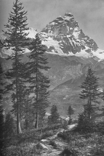イタリア側からのマッターホルン、ブロイユの森、1917 作： Donald McLeish