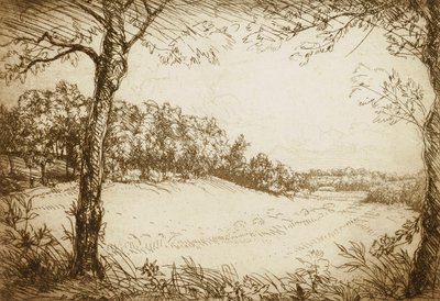 テネシーの夏の朝 作： Donald Shaw MacLaughlan