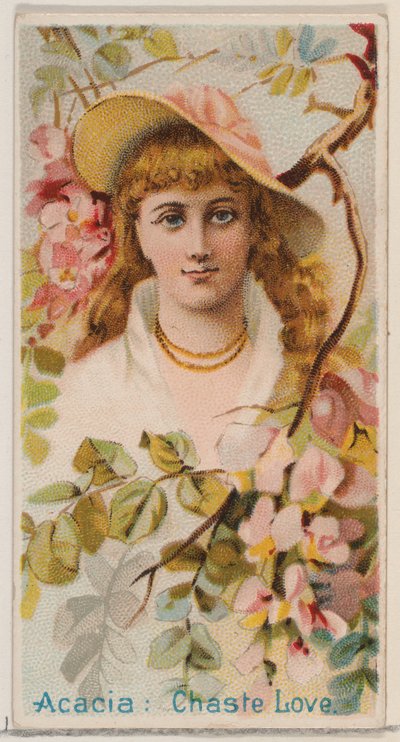 アカシア: 貞淑な愛、シリーズ「花の美しさと花言葉 N75 for Duk...」から、1892 年。 作： Donaldson Brothers