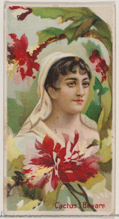 サボテン: 1892 年、デューク ブラのためのシリーズ「花の美しさと花言葉」N75 から。 作： Donaldson Brothers