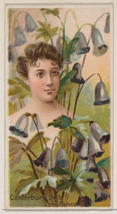 カンタベリーの鐘: コンスタンシー、シリーズ「花の美しさと花言葉 N75...」、1892 年から。 作： Donaldson Brothers
