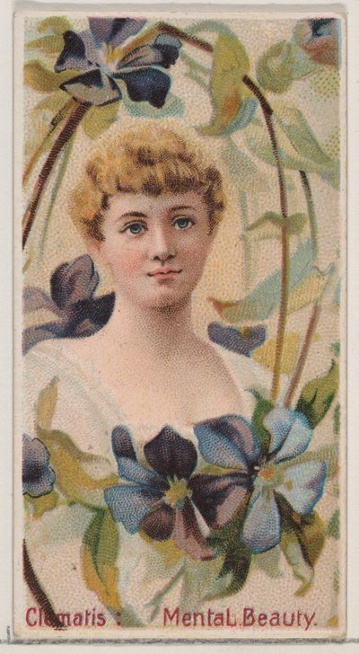 クレマチス: 心の美しさ、シリーズ「花の美しさと花言葉」N75 for...、1892 年から。 作： Donaldson Brothers