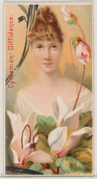 シクラメン: ディフィデンス、シリーズ「花の美しさと花言葉 N75 for Du...」から、1892 年。 作： Donaldson Brothers