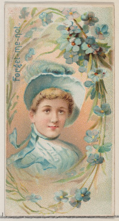 ワスレナグサ、デュークブランのためのシリーズ花の美しさと花言葉N75から...、1892. 作： Donaldson Brothers