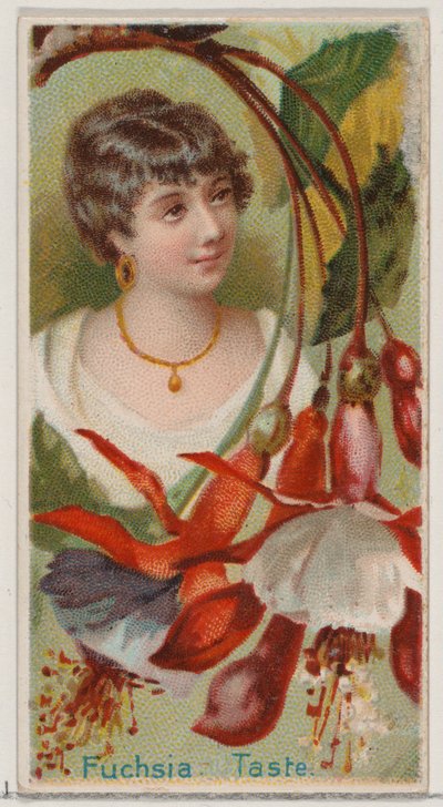 フクシア: デューク ブラ...、1892 年のシリーズ花の美しさと花言葉 N75 からの味。 作： Donaldson Brothers