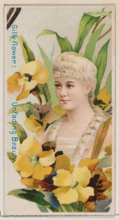 Gilly-flower: Unfading Beauty、シリーズ「Floral Beauties and Flowers of Flowers N7...」、1892年より。 作： Donaldson Brothers