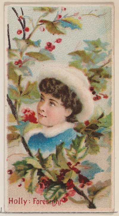 ホリー: フォーサイト、シリーズ「花の美しさと花言葉」N75 からデューク b..., 1892. 作： Donaldson Brothers