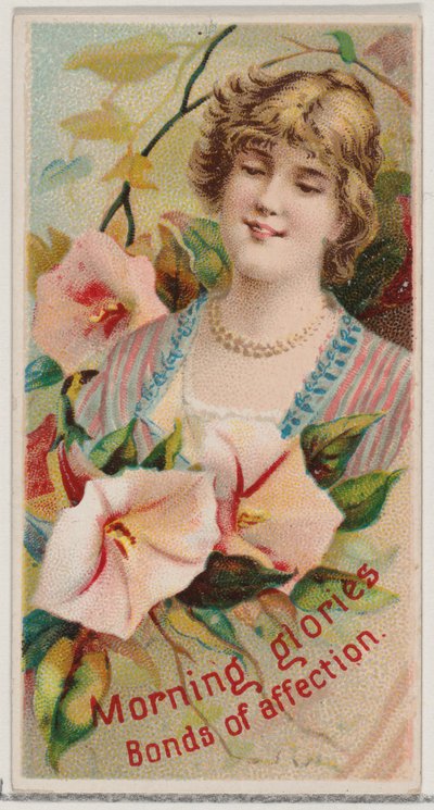 朝顔：愛情の絆、シリーズ「花の美しさと花の言葉」から、1892年。 作： Donaldson Brothers