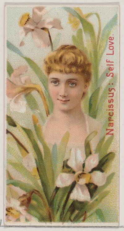 Narcissus: Self Love、シリーズ「Floral Beauties and Flowers of Flowers N75 for Du...」、1892年から。 作： Donaldson Brothers