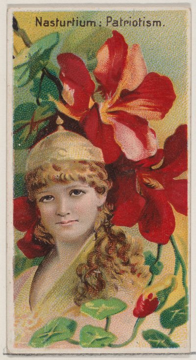 キンレンカ: 愛国心、シリーズ「花の美しさと花言葉 N75 for ...」、1892年から。 作： Donaldson Brothers
