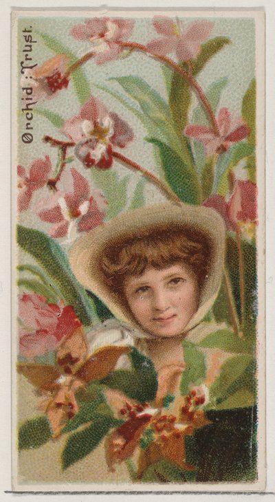 Orchid: Trust, シリーズ Floral Beauties and Language of Flowers N75 for Duke bran..., 1892. 作： Donaldson Brothers
