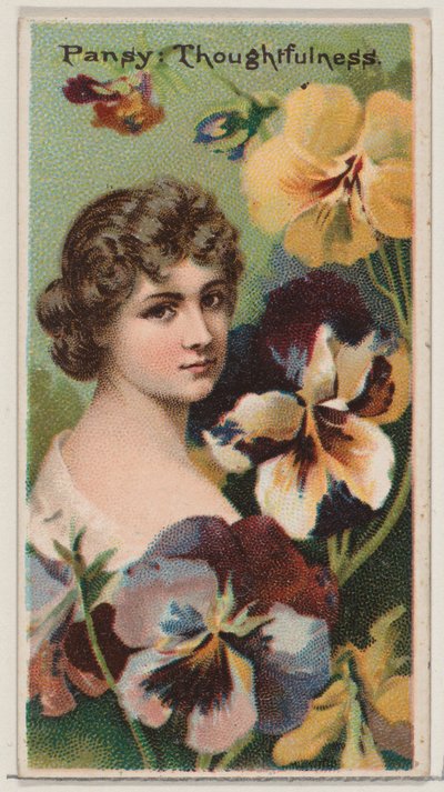 パンジー: D... のためのシリーズ「花の美しさと花言葉」N75 からの思いやり、1892 年。 作： Donaldson Brothers