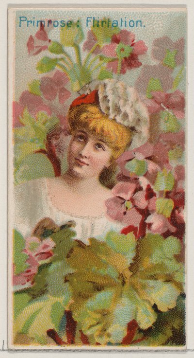 Primrose: Flirtation、シリーズ「Floral Beauties and Flowers of Flowers N75 for Du...」、1892年より。 作： Donaldson Brothers