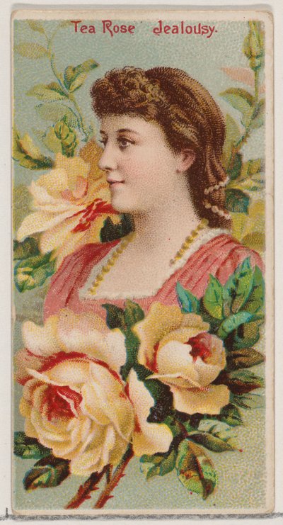 Tea Rose: Jealousy、Duke...、1892 年のシリーズ「Floral Beauties and Flowers of Flowers」N75 から。 作： Donaldson Brothers