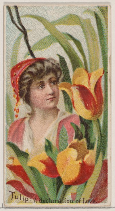 チューリップ: 花の美しさと花言葉 N75...、1892 年シリーズからの愛の宣言。 作： Donaldson Brothers
