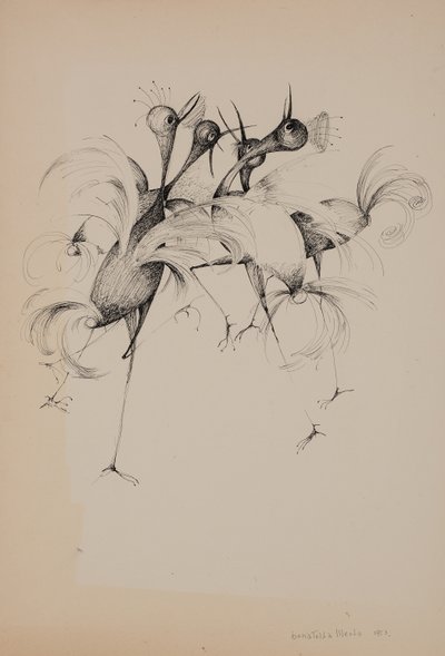 鳥 作： Donatella Merlo