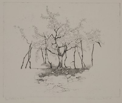 りんごの木 作： Donatella Merlo